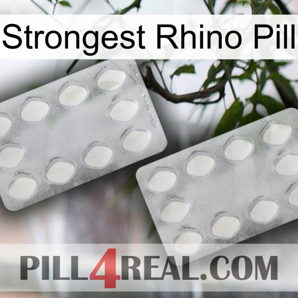 Strongest Rhino Pill 17.jpg